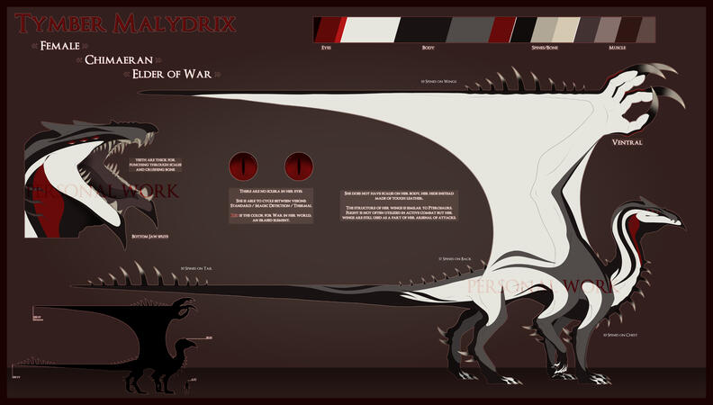 Fullbody Character Design w/ Extras